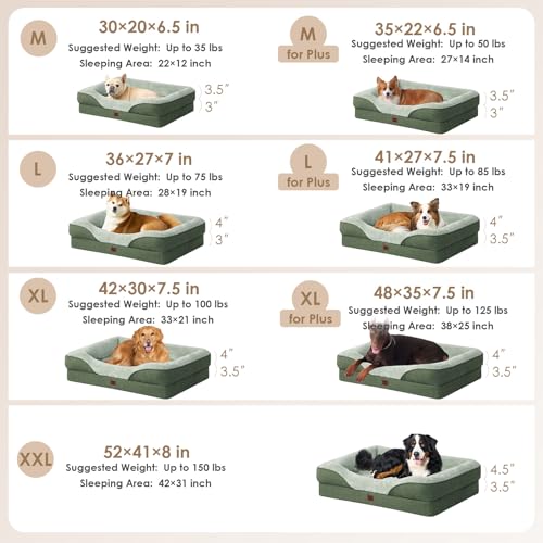 Orthopedic Dog Bed for Medium Dog (Green / 35x22x6.5)