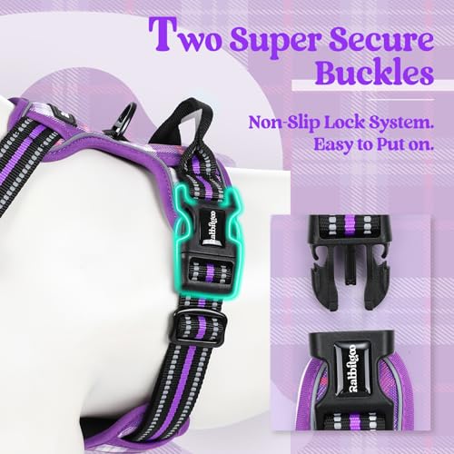 Dog Harness No Pull Medium Sized with 2 Leash Clips (Medium / Purple Plaid)