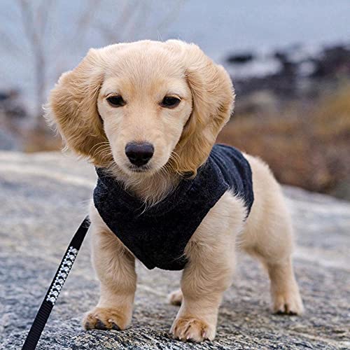 Fleece Vest Dog Sweater (Black / X-Small (Around 4-lb))