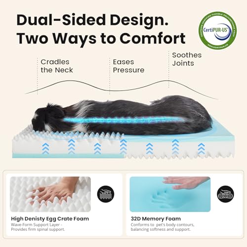 Orthopedic Waterproof Med Large Dog Bed (36" x 27" x 3.5" (For Sprawling) / 01-Gray)
