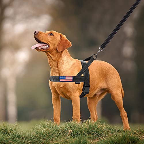 No Pull Dog Harness with Soft Padded Handle (XS / Black)