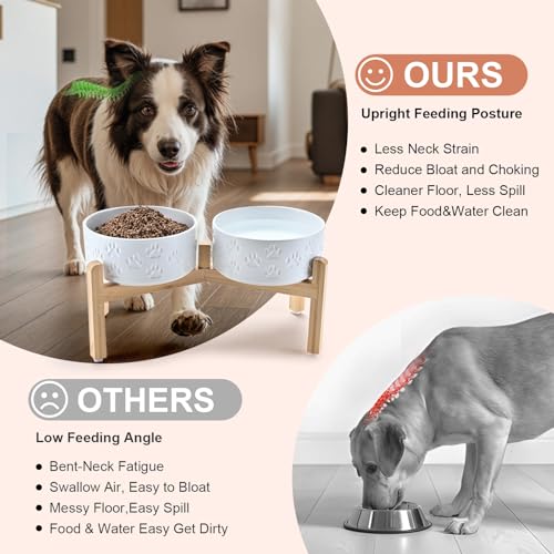 Elevated Dog Bowls Ceramic (7.3 in - 5.3 cups / Paw White)