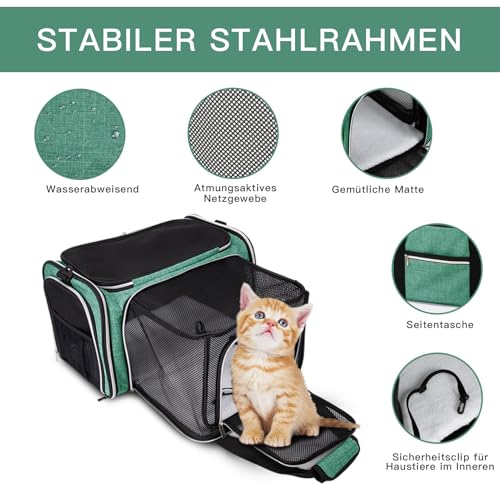 Expandable Cat Carrier with Travel Litter Box (Green / 12.6"L x 6.9"W x 16.5"H)