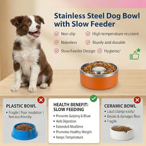 Stainless Steel Slow Feeder Dog Bowl (Orange)