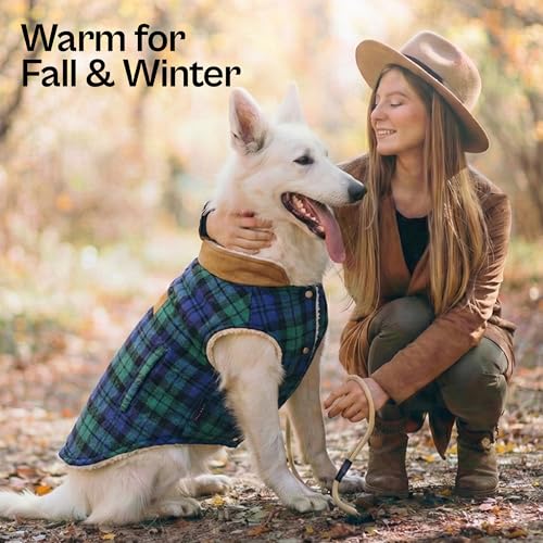 Dog Jacket Scottish Green Plaid Dog Winter Coat (XL / Scottish Green)