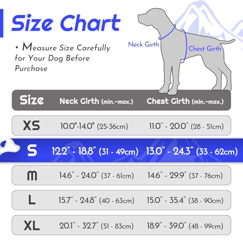 Dog Harness for Small Dogs (Small / Blue)