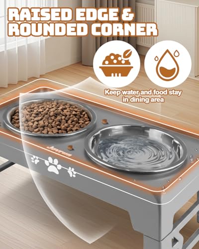 Elevated Dog Bowls for Small Dogs and Cats (for Small Dogs and Cats 2 Basic Bowls / Grey)