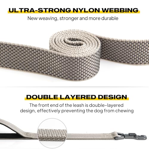Heavy Duty Dog Leash for Medium Large Dogs (5 Feet (Pack of 1) / Grey)