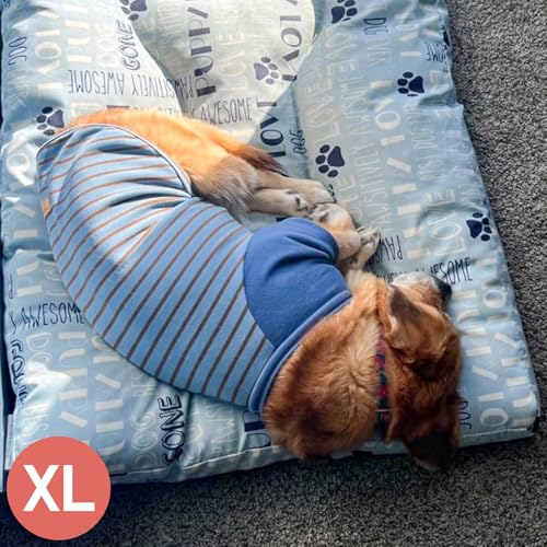 2Pack Dog Sweater with Sleeves Fleece Shirt for Medium Dogs (X-Large (30-50lbs) / 02# Blue+Stripe)