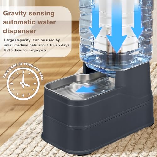 2.2 Gallon Pet Automatic Dog Water Dispenser Cat Gravity Waterer Feeder with Stainless Steel Bowl 8L Large Capacity Puppy Feeding Raised Bowls with Filter (Charcoal Gray / 8L(2.2 Gallon))
