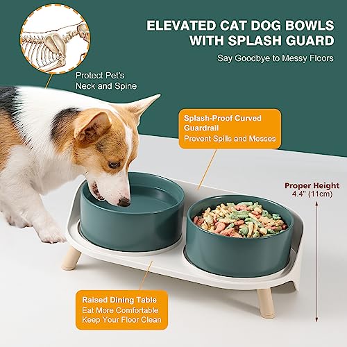 Elevated Ceramic Dog Bowl Set (Green / Medium)