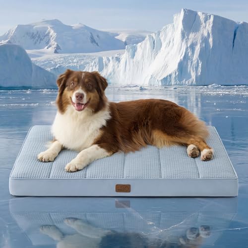 Cooling Dog Beds Large Sized Dog (36"L x 27"W x 3"Th / Cooling Blue)