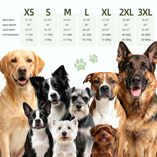 Dog Anxiety Vest (Green / L)