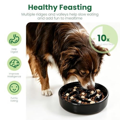Ceramic Slow Feeder Dog Bowls (Black)