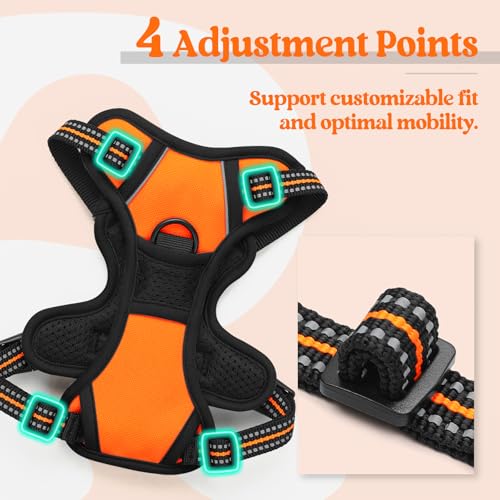 Dog Harness No Pull with 2 Leash Clips (X-Small / Orange)