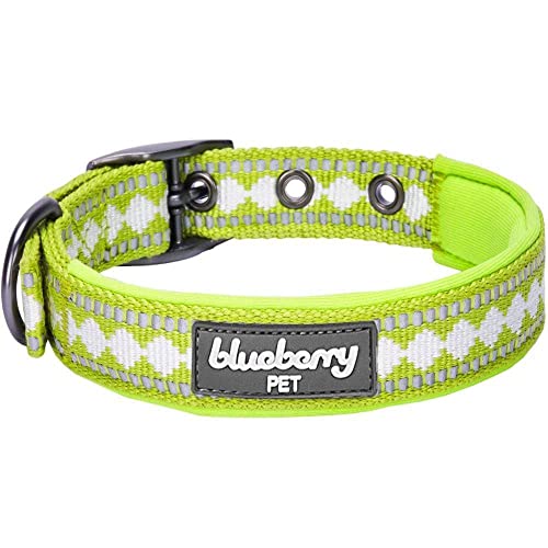 Reflective Jacquard Dog Collar with Neoprene Padding & Metal Buckle (Medium / Metal Buckle-Macaw Green)