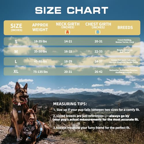 Dog Harness for Small Medium Dogs (Orange / S(Neck:14-21",Chest:20-31"),18-35 lbs)