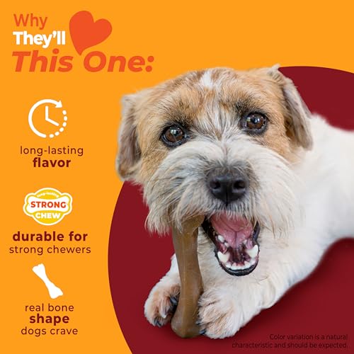 Strong Chew Femur Bone Dog Toy (Femur Bone / Small)