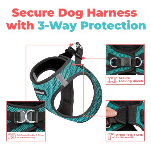 Voyager Step in Air Dog Vest Harness (Turquoise 2-Tone / M (Chest: 16 - 18"))