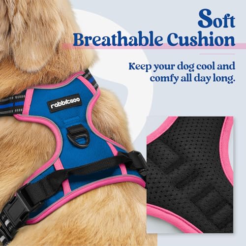 Dog Harness No Pull Medium Sized with 2 Leash Clips (Medium / Blue & Hot Pink)