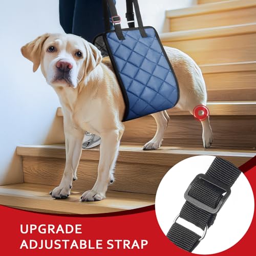 Adjustable Dog Sling Dog Lift Harness for Large Dogs Hind Leg Support (Navy / Large)