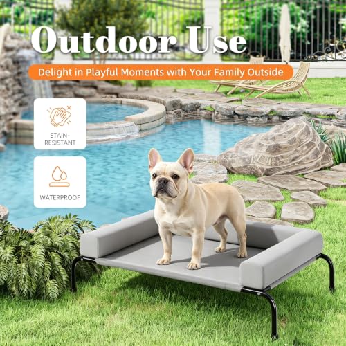 Elevated Dog Bed (Grey / 36.5"L x 23.5"W x 8"H)