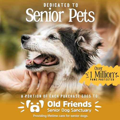 TigerToes Premium Non (Breezy Blue / XXL)