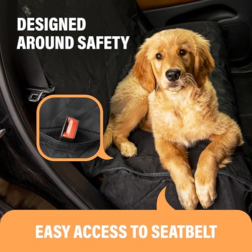 Black Car Rear Seat Cover for Dogs (Black / Standard)
