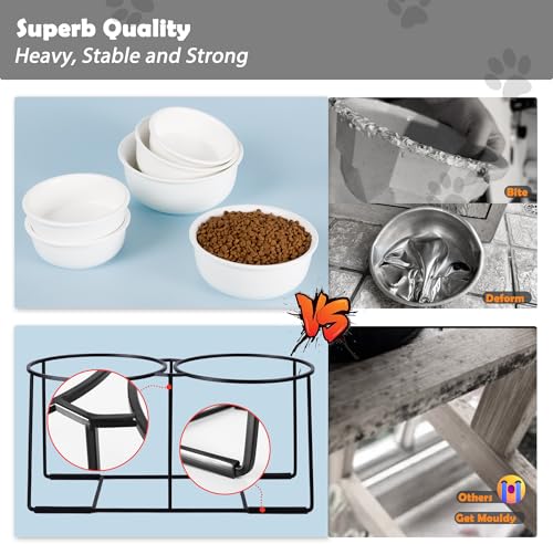 Ceramic Elevated Dog Bowl Set (Matte White / XL × 2)