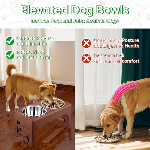 Elevated Dog Bowls (2 Stainless Steel Bowls / Brown)