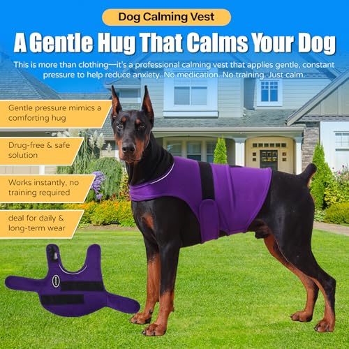 Dog Anxiety Vest (M-Chest(14.1"-22") / Dark Purple)