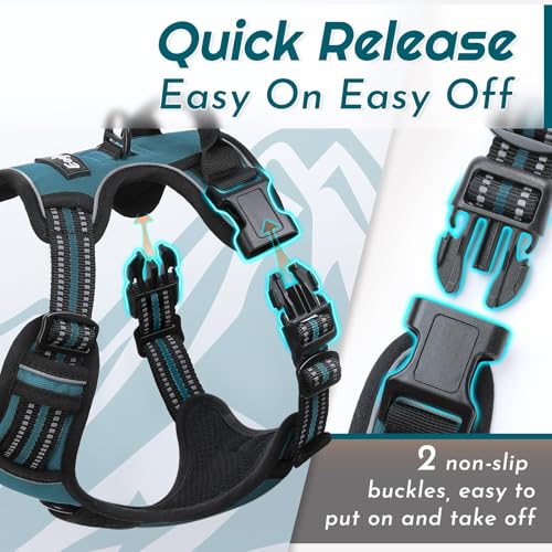 Dog Harness for Medium Sized Dogs (Medium / Dark Green)