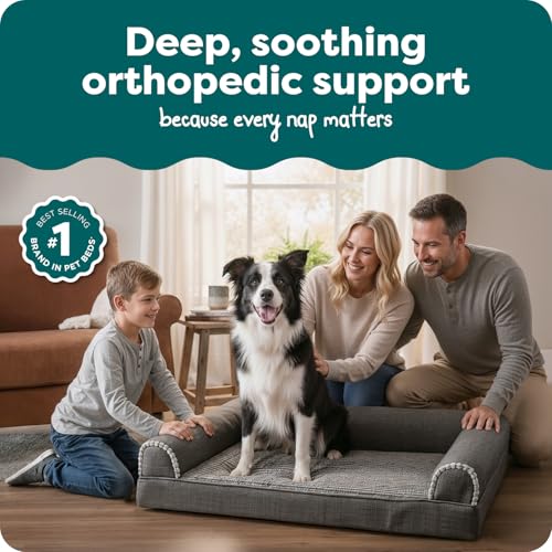 Orthopedic Dog Bed for Large (Large / Charcoal)
