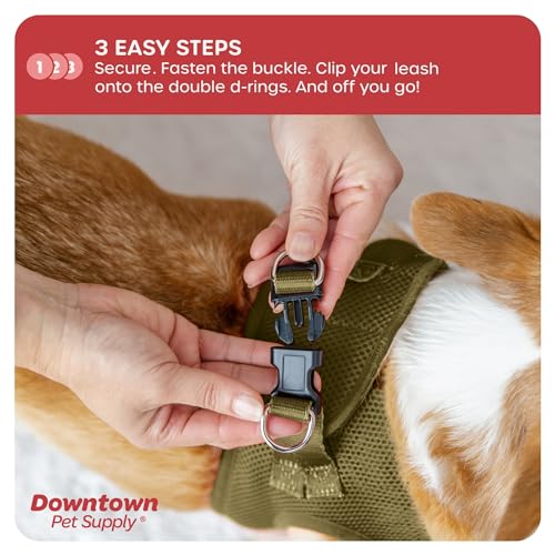 Step in Dog Harness for Small Dogs No Pull (X-Small / Hunter Green)