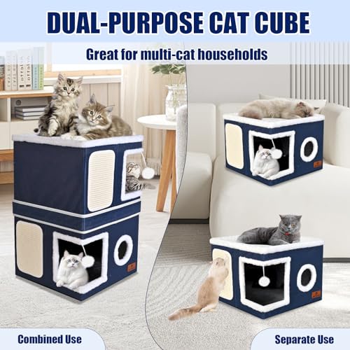 2 Story Cat House for Indoor Cats (Blue / Double)