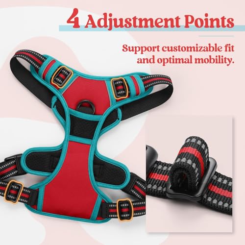 Dog Harness No Pull Medium Sized with 2 Leash Clips (Medium / Red & Teal)
