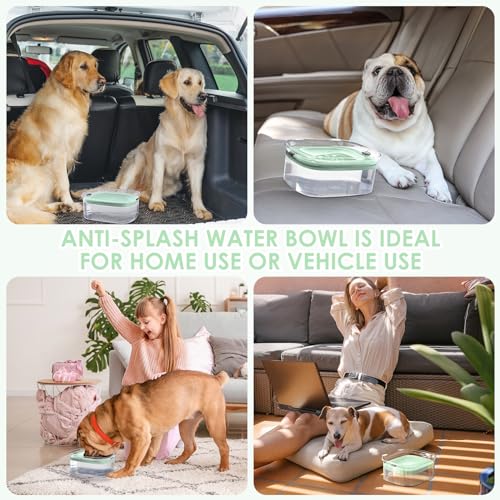 3L No Spill Dog Water Bowl with Slow Drinking Disk (Sprout Green)