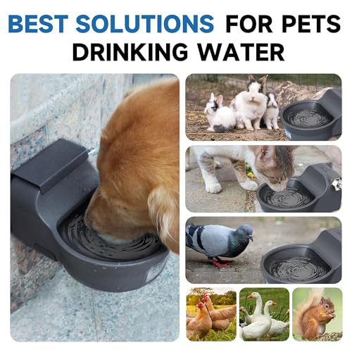 Automatic Dog Water Dispenser with Anti (68 oz / Gray)