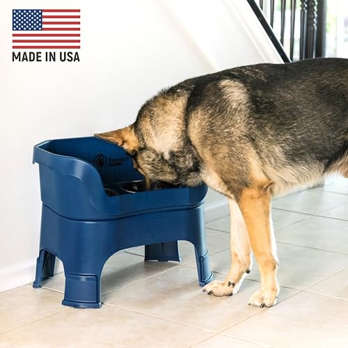 Neater Feeder Deluxe Mess (Large + Standard Bowl / Dark Blue)