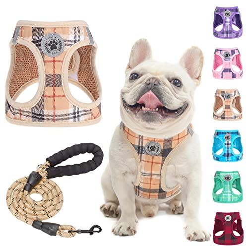 Dog Harness Medium Sized and Leash Set (Medium(Chest Girth 16" - 18") / Beige)