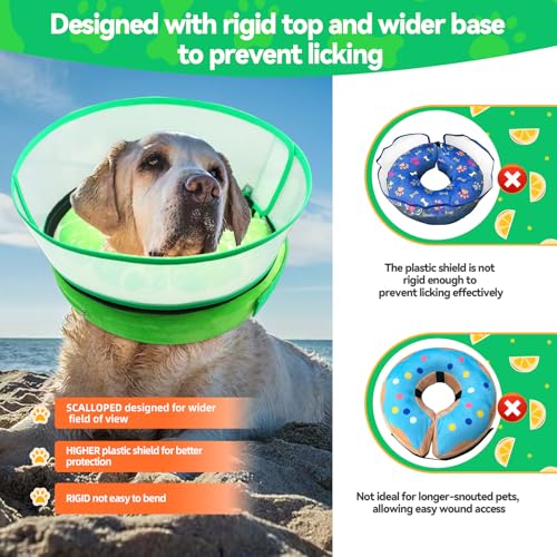 Upgraded Inflatable Dog Cone Collar to Stop Licking (L (Neck: 14-18") / Lime)