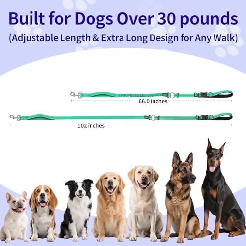 Hands Free Dog Leash by Kazazoo (GREEN Bungee / M)