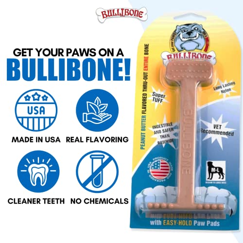 Nylon Dog Chew Toy for Aggressive Chewers (Large - 2 Pack)