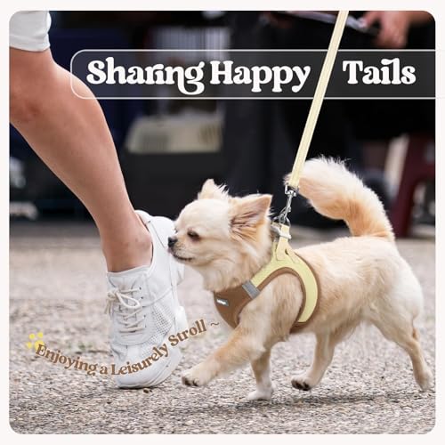 Dog Harness Small Sized and Leash Set (Brown & Beige / Xs (chest: 13.3 - 15.5"))