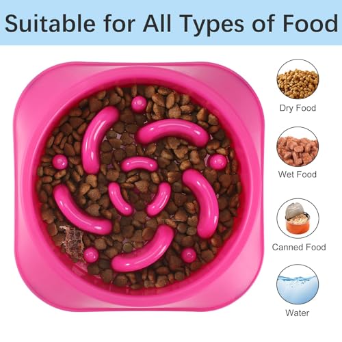 2 Pack Slow Feeder Dog Bowls (C-Purple&DarkBlue / Medium)