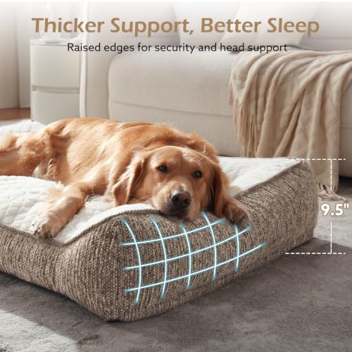 XL Orthopedic Dog Bed for Large Dogs (XL Plus(45"L x 32"W x 9.5"Th) / Beige)