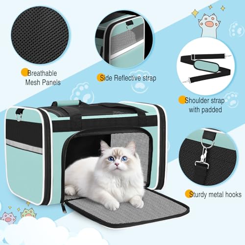 Large Cat Carrier Travel Soft Sided Pet Carrier Airline Approved (Green)