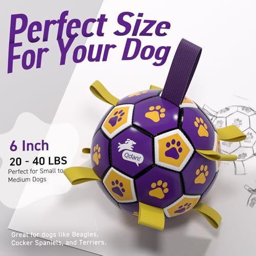 Dog Balls Toys (Purple Yellow / 6 Inch)