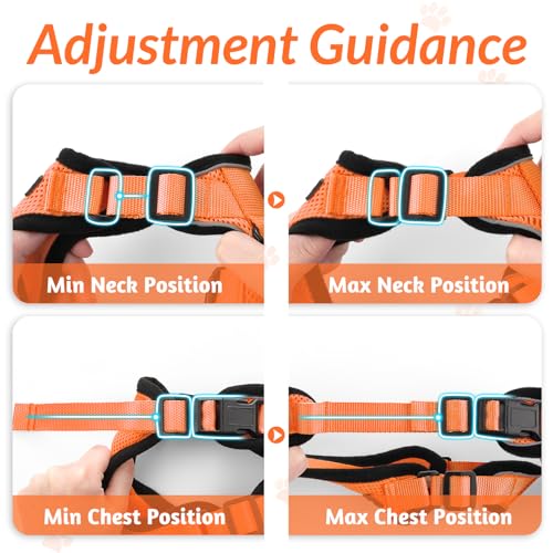 Cat Harness and Leash Set (S / Orange)