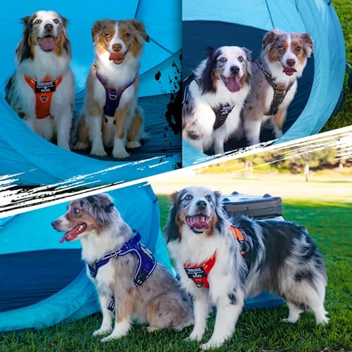 Tactical Dog Harness for Small (Orange / Small)